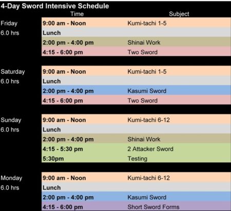 Aikido Sword Intensive Seminar